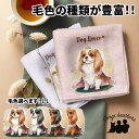 キャバリア 犬 ハンカチ かわいい 名入れ無料 2枚セット ペット うちの子 犬グッズ 犬イラスト プレゼント ギフト 名入れ 名前入り おしゃれ 誕生日 母の...