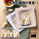 柴犬 犬 ハンカチ かわいい 名入れ無料 2枚セット ペット うちの子 犬グッズ 犬イラスト プレゼント ギフト 名入れ 名前入り おしゃれ 誕生日 母の日 贈...