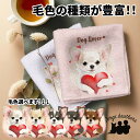チワワ 犬 ハンカチ かわいい 名入れ無料 2枚セット ペット うちの子 犬グッズ 犬イラスト プレゼント ギフト 名入れ 名前入り おしゃれ 誕生日 母の日 ...