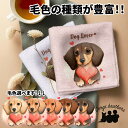 ダックスフンド 犬 ハンカチ かわいい 名入れ無料 2枚セット ペット うちの子 犬グッズ 犬イラスト プレゼント ギフト 名入れ 名前入り おしゃれ 誕生日 ...