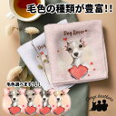 イタリアングレーハウンド 犬 ハンカチ かわいい 名入れ無料 2枚セット ペット うちの子 犬グッズ 犬イラスト プレゼント ギフト 名入れ 名前入り おしゃれ...