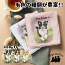 ボーダーコリー 犬 ハンカチ かわいい 名入れ無料 2枚セット ペット うちの子 犬グッズ 犬イラスト プレゼント ギフト 名入れ 名前入り おしゃれ 誕生日 ...