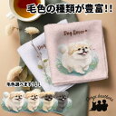 ペキニーズ 犬 ハンカチ かわいい 名入れ無料 2枚セット ペット うちの子 犬グッズ 犬イラスト プレゼント ギフト 名入れ 名前入り おしゃれ 誕生日 母の...