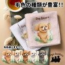 トイプードル 犬 ハンカチ かわいい 名入れ無料 2枚セット ペット うちの子 犬グッズ 犬イラスト プレゼント ギフト 名入れ 名前入り おしゃれ 誕生日 母...