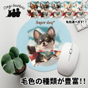 チワワ 犬 マウスパッド かわいい 名入れ無料 ペット うちの子 犬グッズ 犬イラスト パステルカラー ギフト プレゼント 名入れ 誕生日 母の日 贈り物 ノベ...