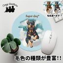 ドーベルマン 犬 マウスパッド かわいい 名入れ無料 ペット うちの子 犬グッズ 犬イラスト パステルカラー ギフト プレゼント 名入れ 誕生日 母の日 贈り物...