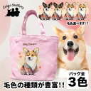 コーギー 犬 お散歩バッグ かわいい 名入れ無料 ミニキャンバス トートバッグ ペット 犬グッズ ギフト プレゼント うちの子 おしゃれ 名前入り 名入り バッグ 母の日 コーギーブラザーズ 【 晴れ着姿 シリーズ】 CGIHSBG