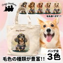 名入れお散歩バッグ ダックスフンド 犬 お散歩バッグ かわいい 名入れ無料 ミニキャンバス トートバッグ ペット 犬グッズ ギフト プレゼント うちの子 おしゃれ 名前入り 名入り バッグ 母の日 コーギーブラザーズ 【 ロイヤル シリーズ】 DCHPSBG