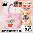 名入れお散歩バッグ ペキニーズ 犬 お散歩バッグ かわいい 名入れ無料 ミニキャンバス トートバッグ ペット 犬グッズ ギフト プレゼント うちの子 おしゃれ 名前入り 名入り バッグ 母の日 コーギーブラザーズ 【 キュンですシリーズ 】 CINVSBG