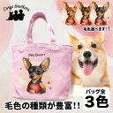 名入れお散歩バッグ ミニチュアピンシャー 犬 お散歩バッグ かわいい 名入れ無料 ミニキャンバス トートバッグ ペット 犬グッズ ギフト プレゼント うちの子 おしゃれ 名前入り 名入り バッグ 母の日 コーギーブラザーズ 【 キュンですシリーズ 】 PNSVSBG