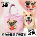 名入れお散歩バッグ パグ 犬 お散歩バッグ かわいい 名入れ無料 ミニキャンバス トートバッグ ペット 犬グッズ ギフト プレゼント うちの子 おしゃれ 名前入り 名入り バッグ 母の日 コーギーブラザーズ 【 キュンですシリーズ 】 PUGVSBG