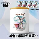 イタリアングレーハウンド 犬 キャニスター かわいい 名入れ無料 ペット 保存容器 プレゼント ギフト うちの子 犬グッズ 犬イラスト 名入れ 両面プリント 誕...