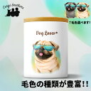 パグ 犬 キャニスター かわいい 名入れ無料 ペット 保存容器 プレゼント ギフト うちの子 犬グッズ 犬イラスト 名入れ 両面プリント 誕生日 贈り物 ノベルティ コーギーブラザーズ 【 グラサン シリーズ】 PUGGTUP