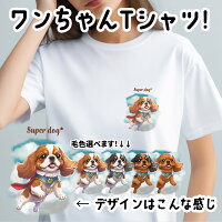 Tシャツ・カットソー