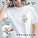 マルチーズ 犬 tシャツ かわいい 名入れ無料 ペット うちの子 犬グッズ プレゼント ギフト 名前入り 名入り おしゃれ ユニセックス 男女兼用 レディース 誕生日 母の日 コーギーブラザーズ 【 ヒーロー シリーズ 】 MLTCTSH