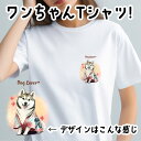 シベリアンハスキー 犬 tシャツ かわいい 名入れ無料 ペット うちの子 犬グッズ プレゼント ギフト 名前入り 名入り おしゃれ ユニセックス 男女兼用 レディース 誕生日 母の日 コーギーブラザーズ 【 晴れ着姿 シリーズ】 HSKHTSH