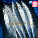 送料無料 大サイズ1尾160g約2K12尾 常磐三陸水揚げ生さんま新物生さんま 秋刀魚 サンマ さんま配達指定不可 沖縄配送不可 秋刀魚 さんま