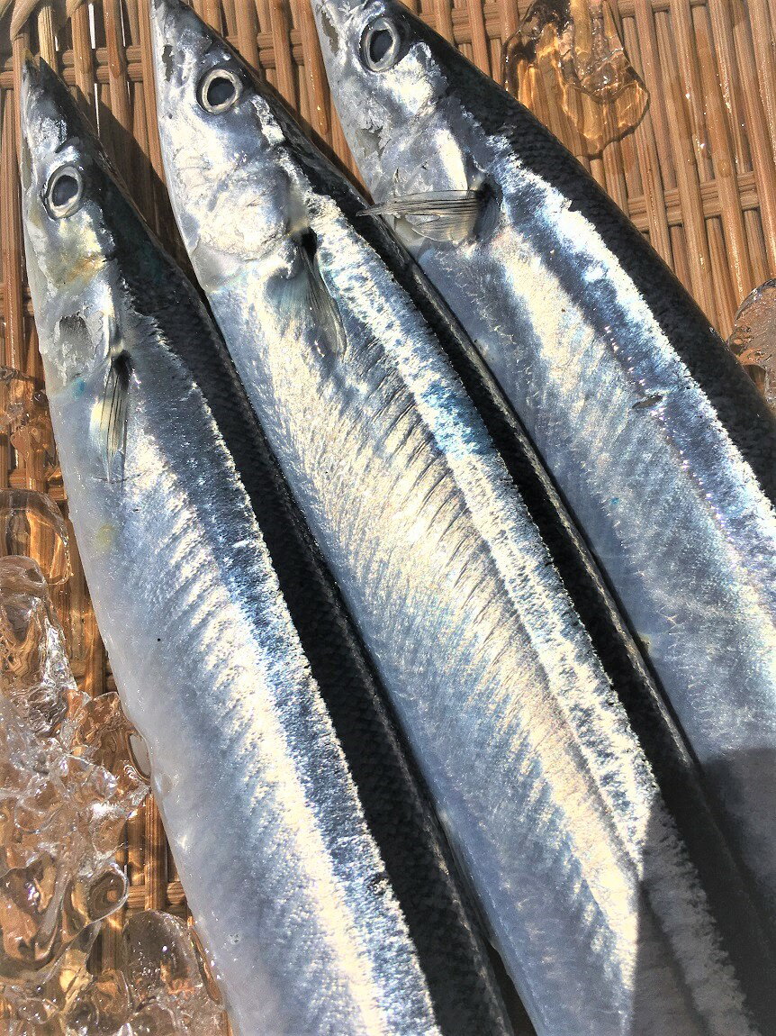 さんま には栄養がたっぷり サプリにもなる理由とは Jouer ジュエ