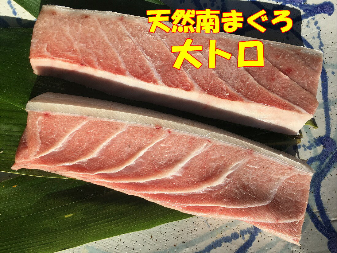 12月20日以降発送 送料無料 お歳暮 正月 赤いダイヤ 天然みなみ鮪大トロ1kg(皮がついています)沖縄不可インド鮪 南まぐろ 南マグロ まぐろ 生まぐろ 鮪 刺身 マグロ 寿司 鮨 海鮮 正月 年末 年始 パーティー マグロ 大トロ 大とろ 高級 丼 刺し身 さしみ