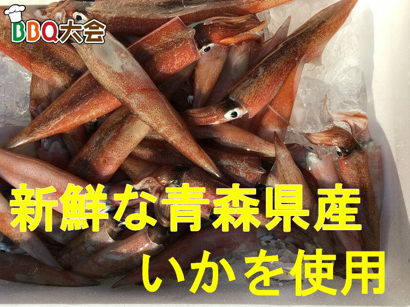 送料無料 マルゲン水産　青森県産特大イカ一夜干し　びっくり特大3枚　焼くだけ 塩加減 お歳暮 お中元 ギフト 冷蔵 贈答 いか イカ　烏賊　干物　ひもの　バーベキュー