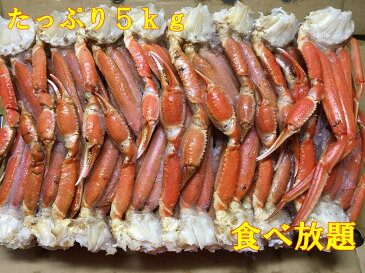 最安値挑戦！送料無料　口の中に旨味広がる　訳ありボイル本ズワイガニ 5kg 訳あり食べ放題 ズワイガニ足 業務用 かに カニ 蟹 ずわいがに ズワイ蟹 蟹脚 蟹足 　ボイルズワイガニ ボイル かに脚 かに足 訳アリ かに5kg カニ5kg 蟹5kg 父の日　鮮度保持の為沖縄配送不可