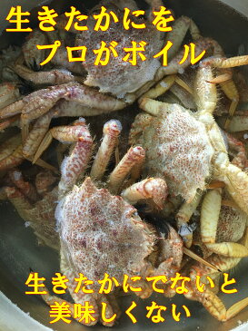 送料無料 新物 北海道 根室産 ボイル栗かに1kg(5〜8匹)塩ゆで かに カニ 蟹 蟹 蟹脚 蟹足 栗カニ くりがに クリガニ 栗がに 毛がに 毛ガニ 輸送品質上、四国、九州、沖縄、北海道は冷蔵配送