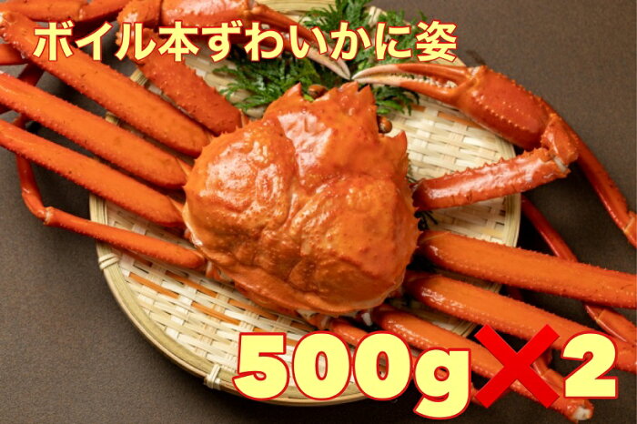 送料無料　カナダ産 ボイル本ズワイガニ 2尾（1kg）足し足もありです　　かに 特大 姿 お歳暮 ギフト ずわいがに ズワイ蟹 ボイル ずわい ズワイ 姿 ギフト 敬老の日　かに カニ 蟹 　ボイルズワイガニ ボイル かに脚 かに　四国、九州、沖縄、北海道は冷蔵配送