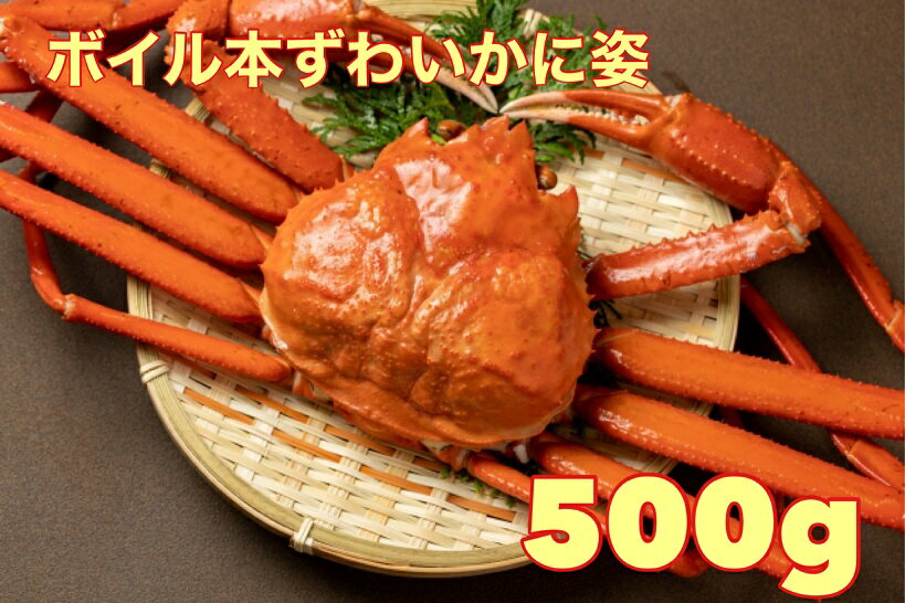 送料無料　カナダ・ロシア産 ボイルズワイガニ 姿500g 足し脚ありとなります。かに 姿 お歳暮 ギフト ずわいがに ズワイ蟹 ボイル ずわい ズワイ 姿 ギフト 敬老の日　かに カニ 蟹 　ボイルズワイガニ ボイル かに脚 かに　四国、九州、沖縄は冷蔵配送
