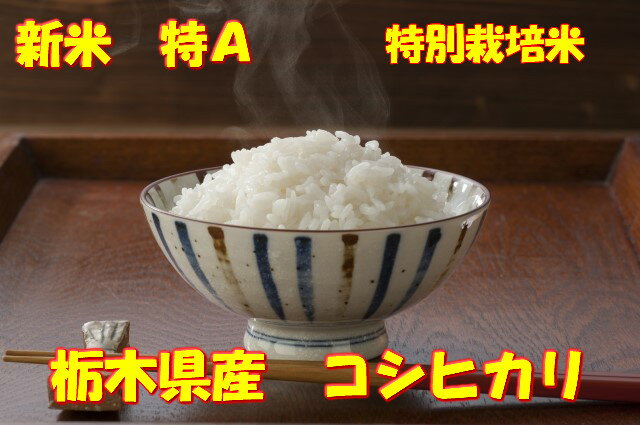 送料無料　令和2年産　那須連峰の伏流水を使用した栃木県大田原市産コシヒカリ5kg　特...