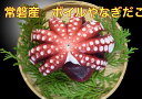 冷凍 送料無料 常磐産 釜茹で ヤナギタコ1匹 800g プリプリ感が自慢です!タコ 蛸 たこ 福島 いわき 常磐 お歳暮 1尾 福島県