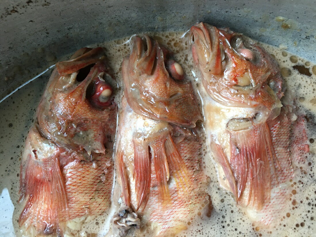 ����̵�� ����Φ�����ػ� ���֤����С��Τɤ���1kg��7��9���˱��Ƥ����ѤĤ��ѡ���顡�����ݻ��Τ��ᡢ����ؤ������Բ� �����ջ����Բġ��Υɥ������Τɤ������������Τɹ�