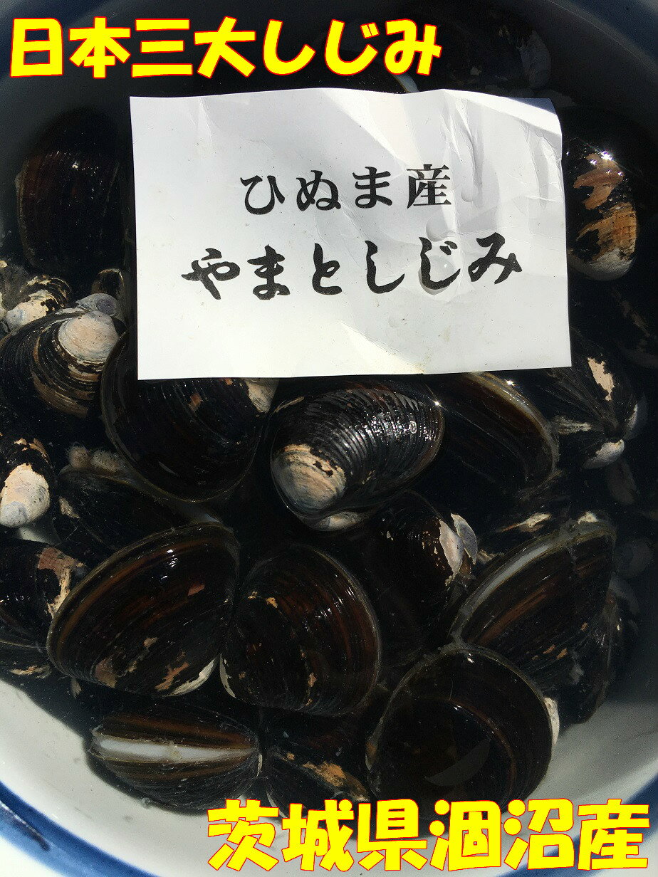 商品情報 名称 活しじみしじみ（茨城県産）原材料名 しじみ内容量 1kg賞味期限 冷蔵で3日保存方法 冷蔵保存販売者 株式会社　馬目商店MK東京都八王子市千人町4−10−16−206送料無料　茨城県 活 涸沼しじみ 1kg しじみ 味噌汁 シジミ 蜆 しじみ汁 満潮時には海から涸沼川を通じて海水が逆流し、淡水と海水が混ざり合う「汽水湖」となります。「汽水湖」は全国的にも珍しく、海水魚と淡水魚の両方が生息しています。このように恵まれた環境で獲れる涸沼のしじみは、日本三大しじみ（島根県・青森県・茨城県）の一つにも数えられています！ 「涸沼の黒真珠」とも呼ばれる「ひぬまやまとしじみ」。その濃厚な味わいとプリプリとした食感をぜひお試しください。 機械を使わず全国でも珍しい「手掻き操業」で漁獲しているので、キズがほとんどなく、高品質。 アミノ酸やタウリンなどの旨味成分が豊富 栄養価が高く、旨味があって食べごたえ十分 おおぶりでプリプリした身 肝臓が弱い方に！ シジミは茨城だ！ こんにちは、店長の馬目です。涸沼のしじみ漁は、動力を使わず、昔ながらの人力で丁寧に採補しています。機械を使わず採補することで、しじみにキズがつくのを最小限に抑えられ、ストレスを与えずに獲ることが出来るので、しじみの元気がよく、食感がプリプリしており、なんといっても濃厚なダシが取れます 1