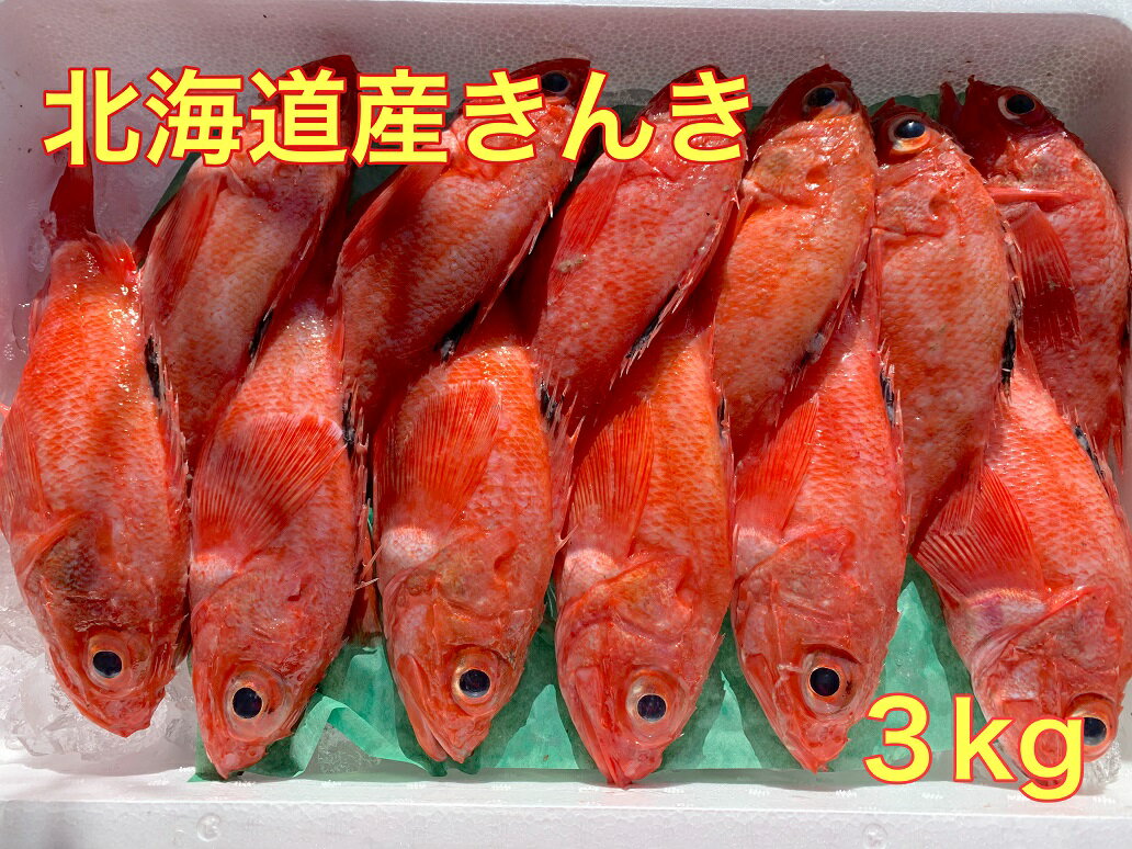 送料無料 冷蔵発送 北海道産きんき3kg きんき キンキ 吉次 きんめ お歳暮 おかず 手軽 簡単調理 時短 ..