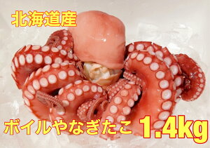 送料無料 北海道産 釜茹で ヤナギタコ1匹 1.5kg前後 プリプリ感が自慢です!タコ 蛸 たこ お歳暮 1尾