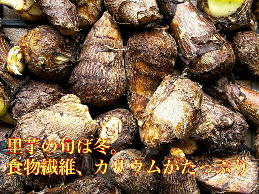 送料無料 出汁が染みてる 里いもいか煮　200g×8ギフト 惣菜 お惣菜 豚 ブタ 夕食 ...