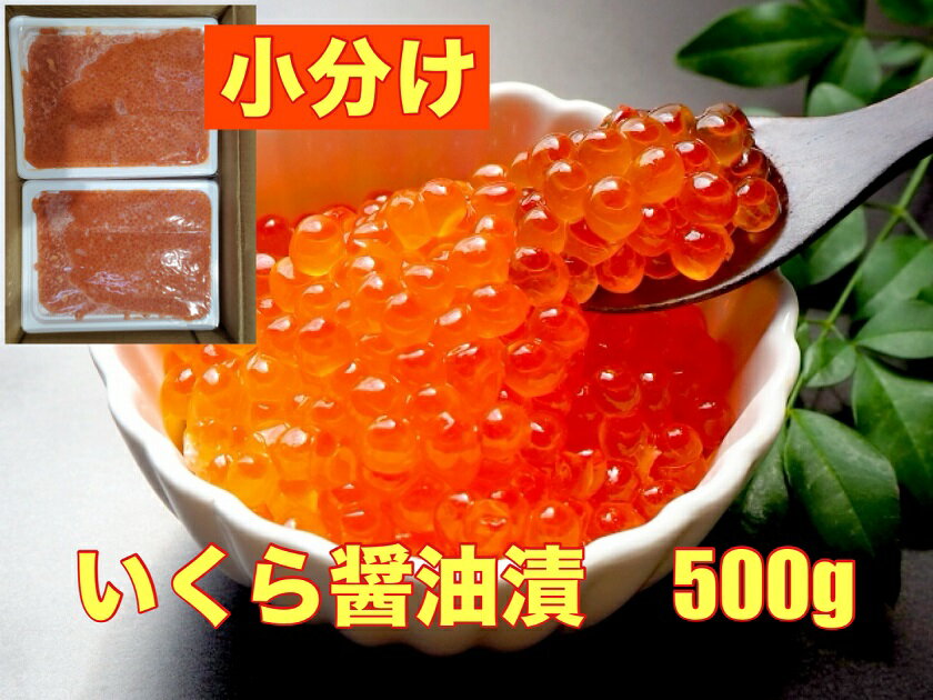 送料無料　アメリカ産 たっぷりプチプチ 紅鮭いくら醤油漬 500g（250g×2）小分け　いくら 醤油　鮭 イ..