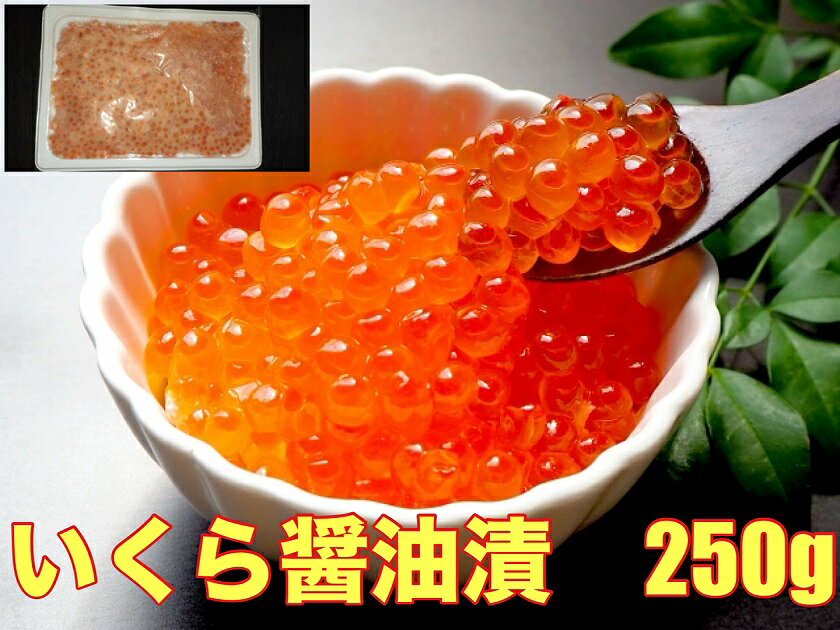 送料無料　アメリカ産 たっぷりプチプチ 紅鮭いくら醤油漬 250g小分け　いくら 醤油　鮭 イクラ 海鮮丼 贈答 お中元 父の日さけ 鮭 サケ おにぎり