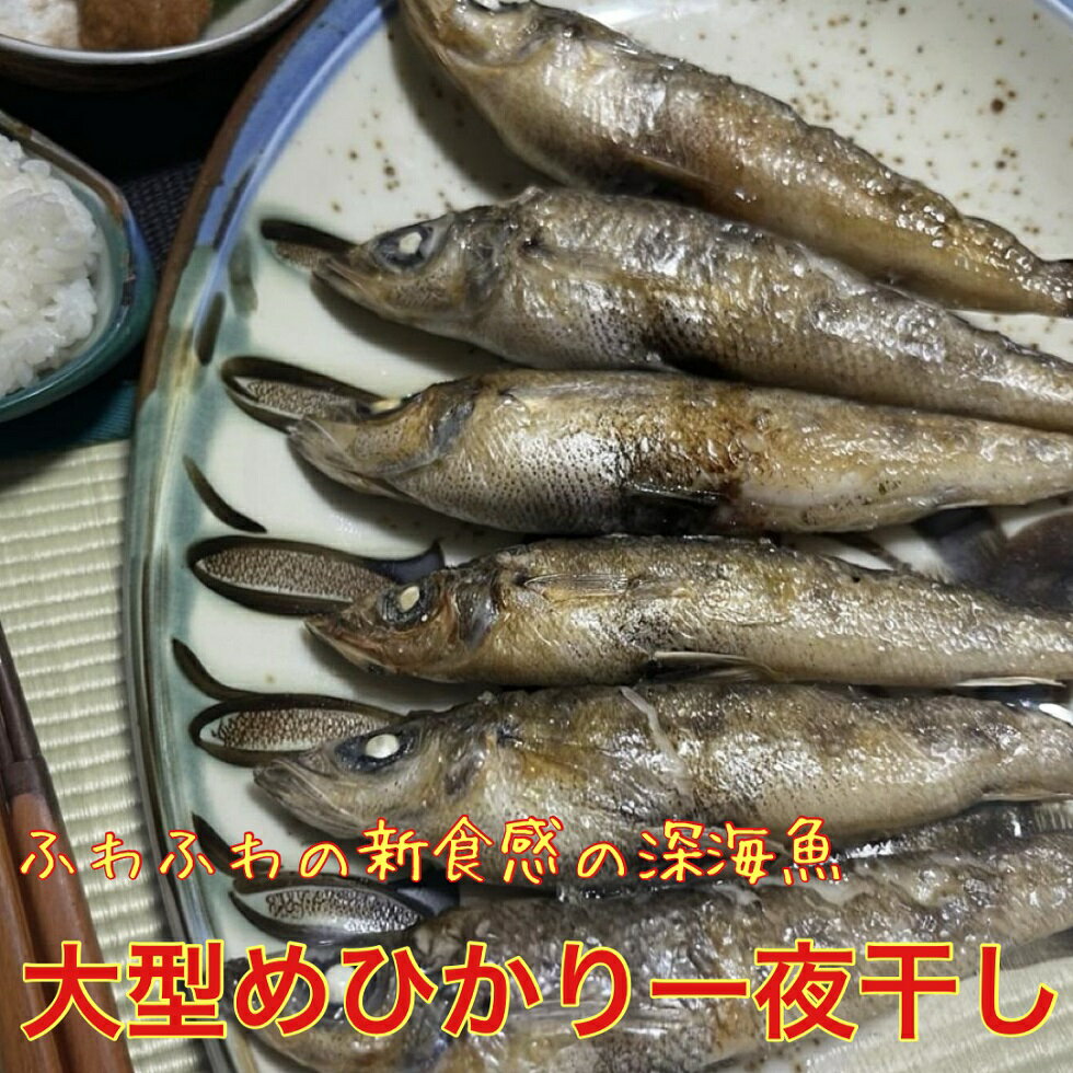 送料無料　大型めひかりの一夜干し　15匹 目光 常磐産　めひかり　メヒカリ 干物 常磐もの 常磐モノ 常磐物 ギフト 父の日　母の日　焼..