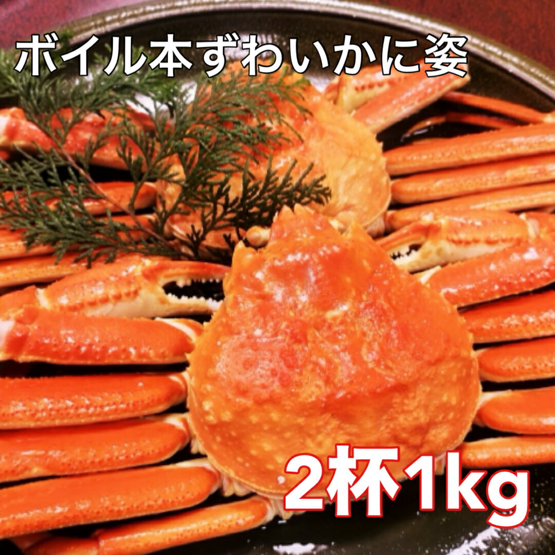 送料無料　ノルウェー産 ボイル本ズワイガニ姿 2尾（1kg）かに 姿 お歳暮 ギフト ずわいがに ズ ...