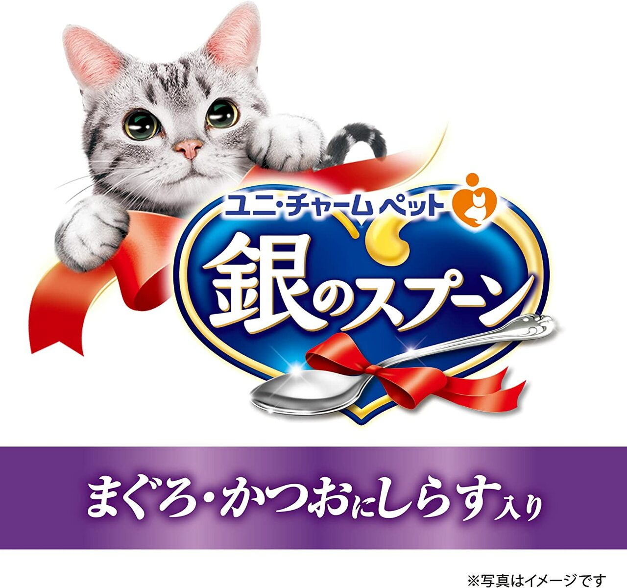 【しているた】 まとめ買い 2箱 銀のスプーン 缶 まぐろ・かつおにしらす入り 70g×96個入 (ケース販売) あす楽 ロジスティック発送:まのち商店店 メーカー