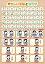 お風呂学習ポスター やさしい手話と指文字 ((大 60×42cm))