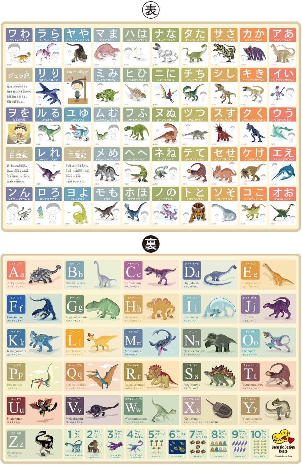 下敷き したじき 小学生 A4 B5 (A4恐竜ひらがな・カタカナ・ABC・アルファベット)