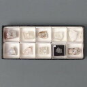 蛍光鉱物標本セット 短波 10種