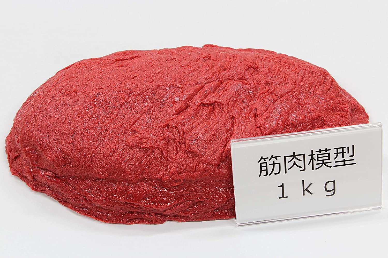 楽天市場】筋肉 模型 1kgの通販 楽天市場】筋肉 模型 1kgの通販