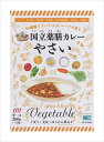 国立薬膳カレー　野菜200g　×10個