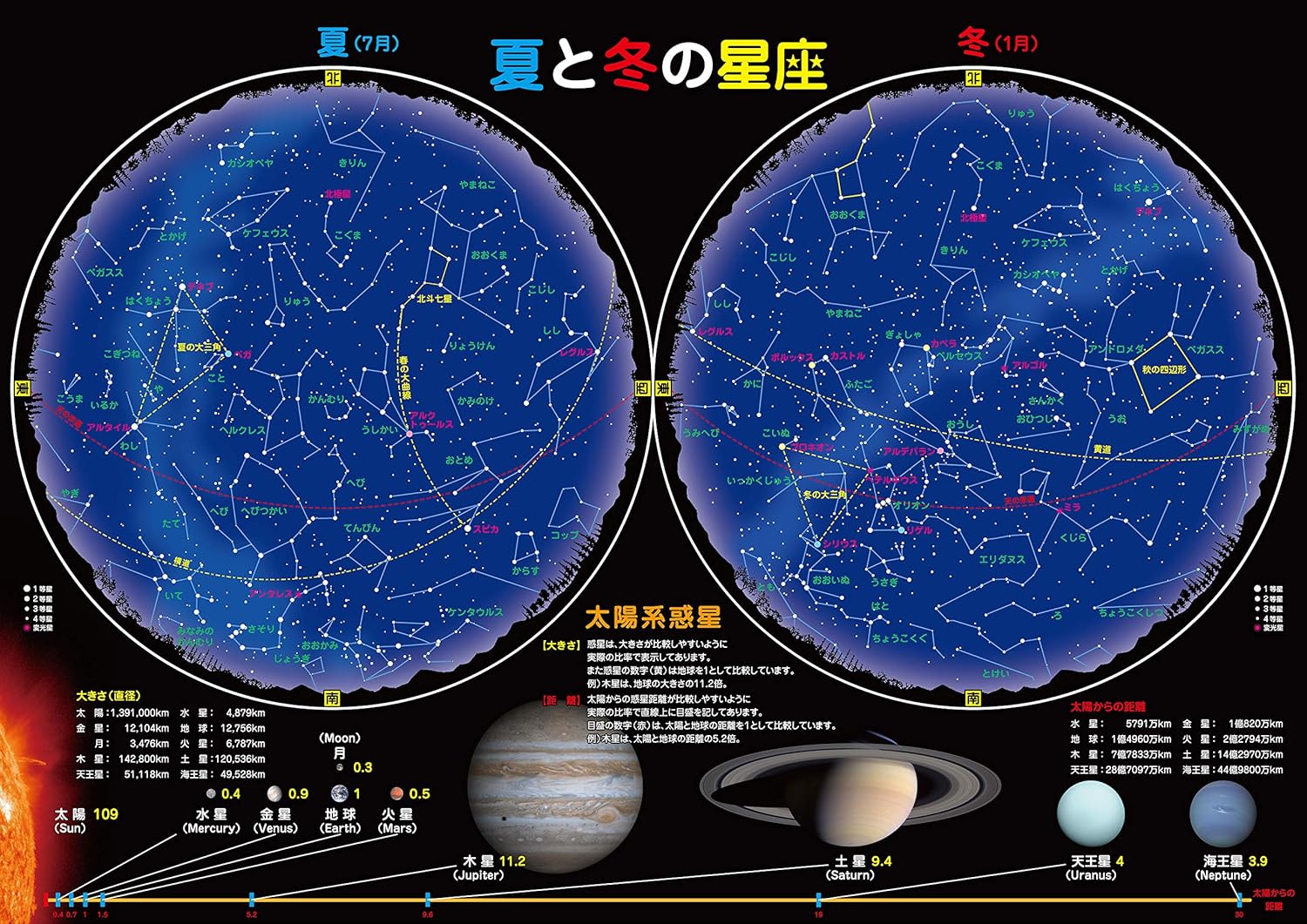 お風呂 宇宙ポスター (夏と冬の星座(大 60×42cm))