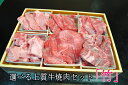 送料無料 選べる牛焼肉 福袋 600g (6種各100g) 「竹」セット 国産牛 上質 焼肉 お祝い ギフト 贈答品 盛り合わせ