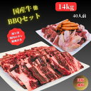 国産牛バーベキュー セット ランキング常連! 送料無料 激安価格 特製タレ箸 紙皿付き 40人前 リニューアル9種類 総重量14kg アウトドア 焼肉 お取り寄せ 詰め合わせ