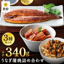 国産うなぎ蒲焼き