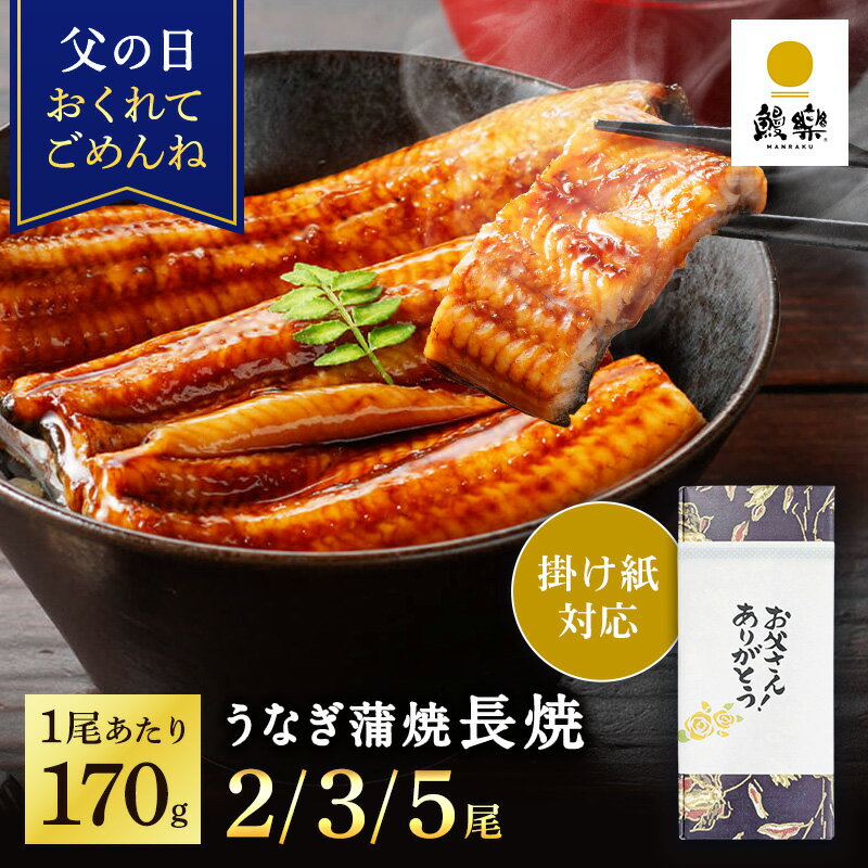 ★ポイント5倍 父の日掛け紙★ 父の日 うなぎ 国産 ギフト プレゼント 鰻楽 国産 うなぎ蒲焼 長